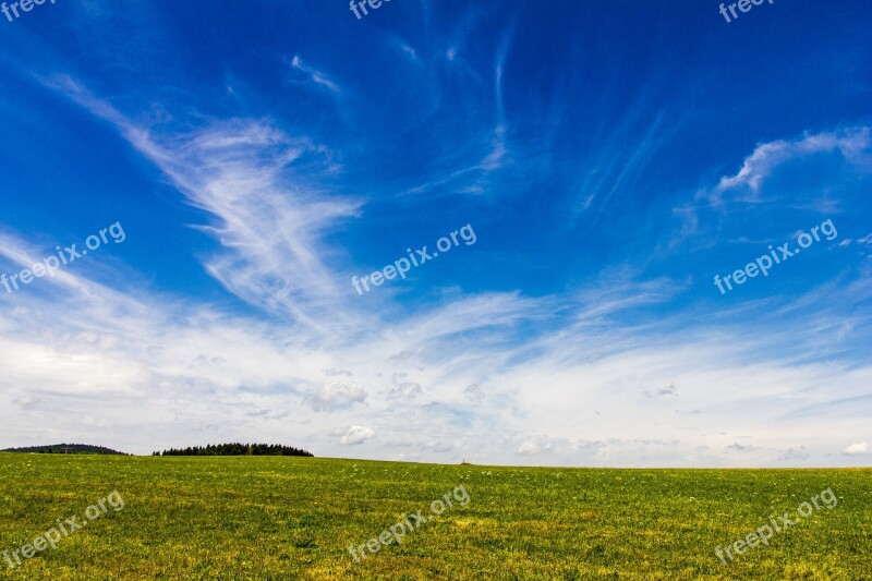 Summer Sky Meadow Blue Summer Nature