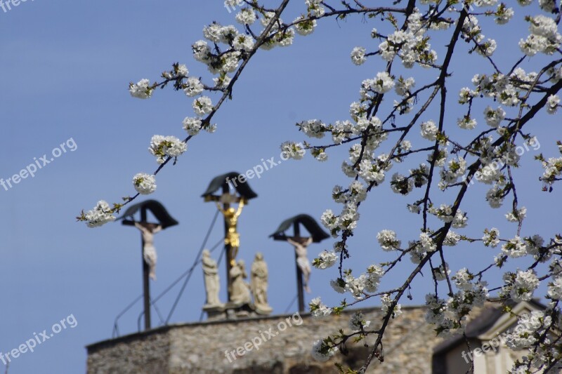 Calvary Graz Spring Flowers Crosses