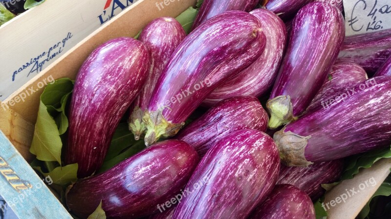 Eggplant Orchard Huerta Bio Vegetables