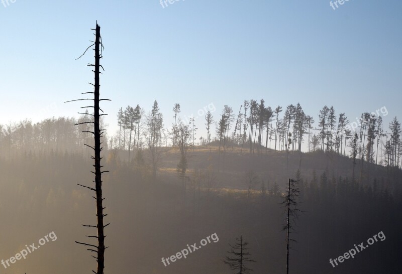 Jeseniky Calamity Forests The Jeseníky Mountains Landscape