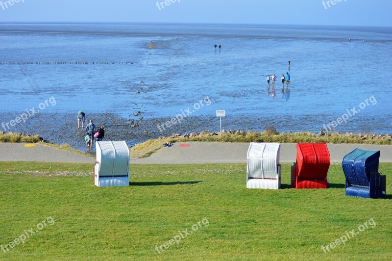 Friedrichskoog Tip Clubs North Sea Wadden Sea Mudflat Hiking