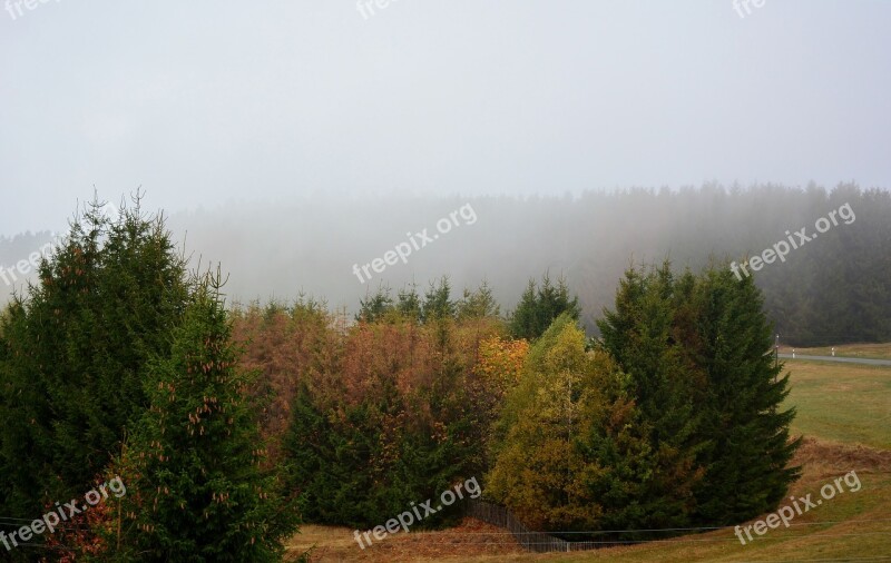 Morning Fog Forest Road Thuringian Forest