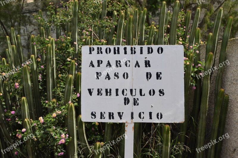 Shield Spanish Cactus Spain Warnschild