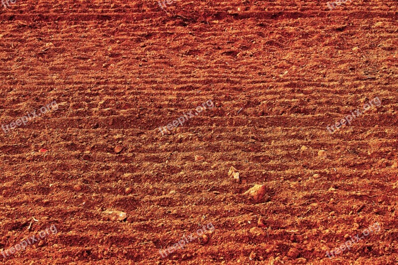 Field Arable Agriculture Field Order Dry