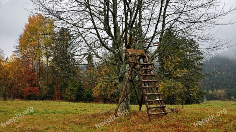 Pulpit Hunting Chair Tron Monitoring