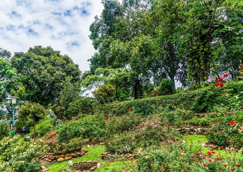 Garden Beautiful Landscape Hill Side Mountain Nature