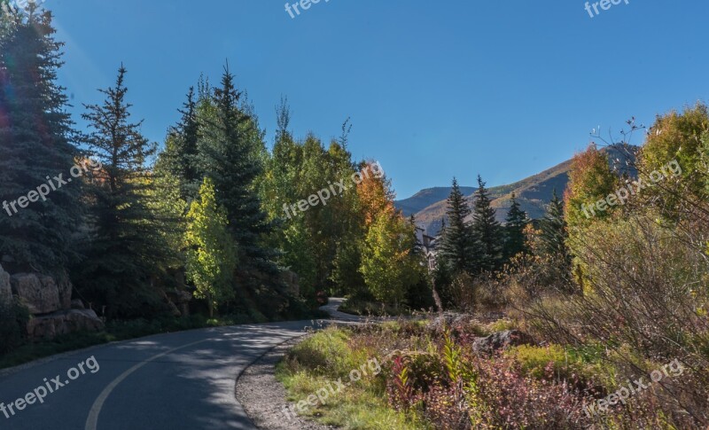 Foliage Vail Colorado Park Path