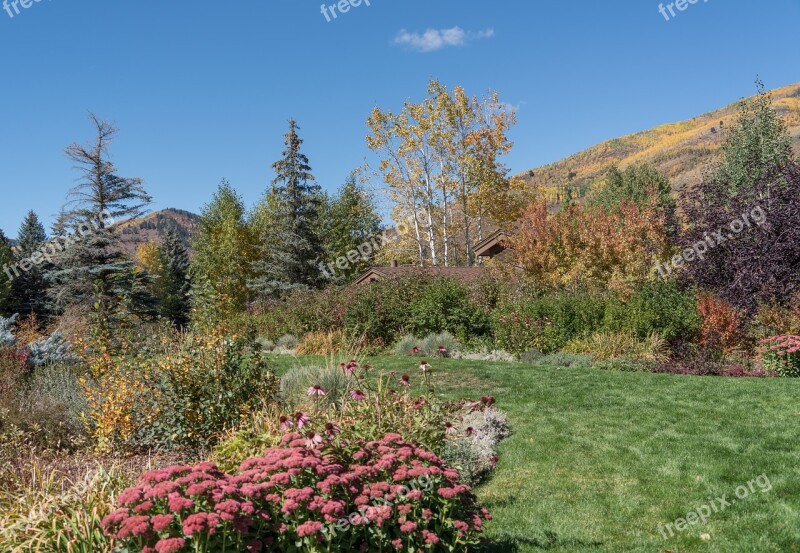 Foliage Vail Colorado Park Path