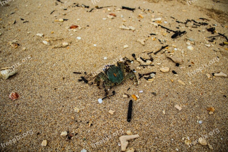 Asia Thailand Koh Ianta Island Beach