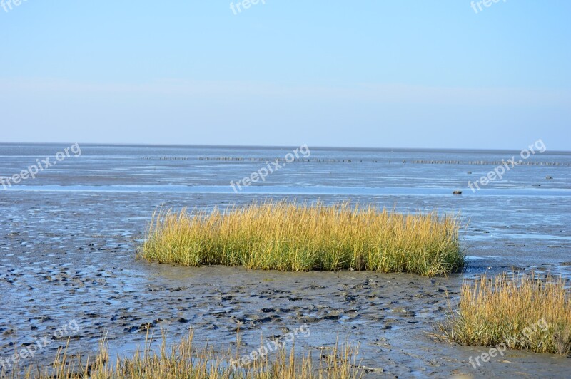 The Wadden Sea Of Schleswig-holstein Friedrichskoog North Sea Watts Ebb