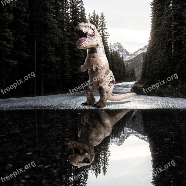 T-rex Road Forest Trees Landscape