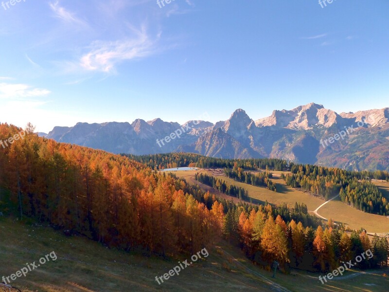 Autumn Autumn Mood Autumn Forest Autumn Colours Golden Autumn