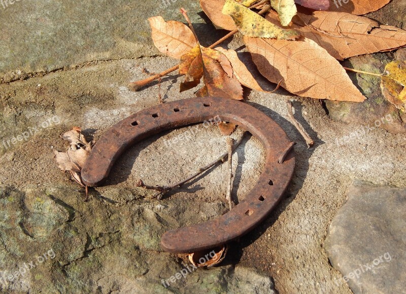 Horse Shoe Stone Leaves Fall Autumn