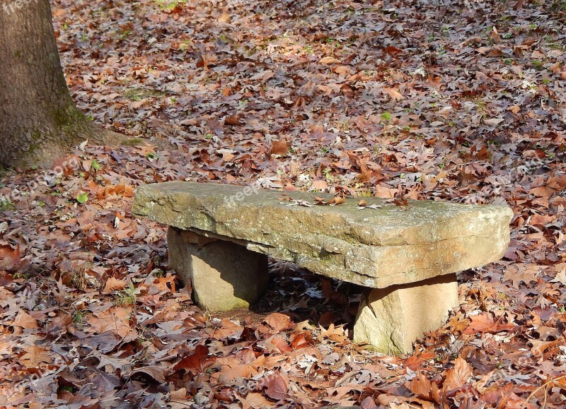 Stone Bench Bench Stone Nature Fall