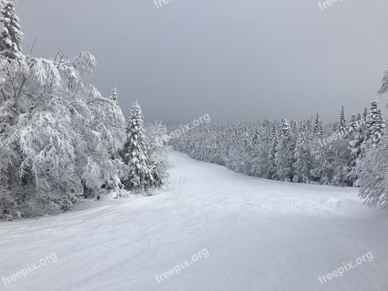 Snow Ski Mountain Winter Canada