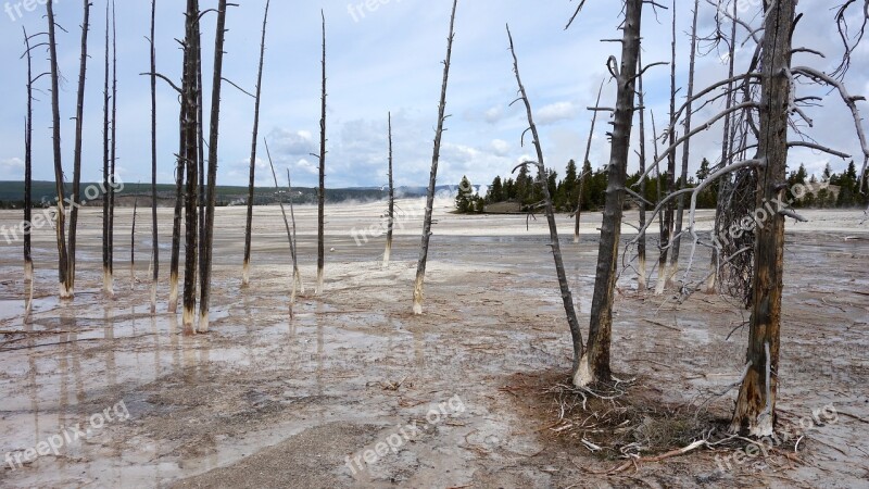 National Park Yellowstone National Parks United States Nature