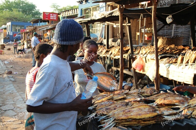 Market Dry Fish Outdoors Africa Town