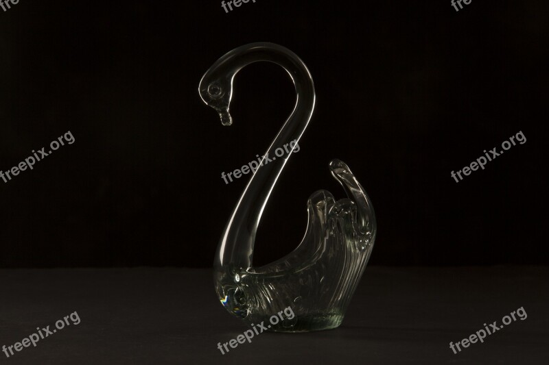 Glass Swan Decoration Bird Black Background