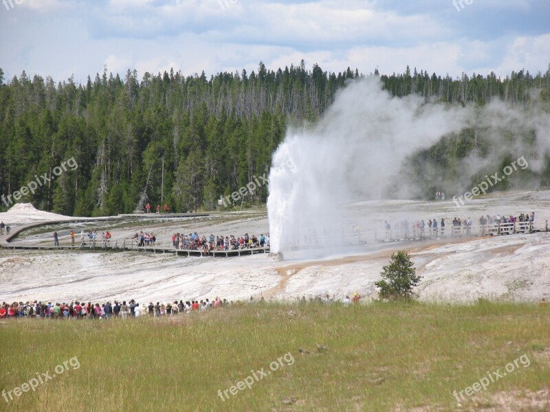 Beehive Geyser Yellowstone Free Photos