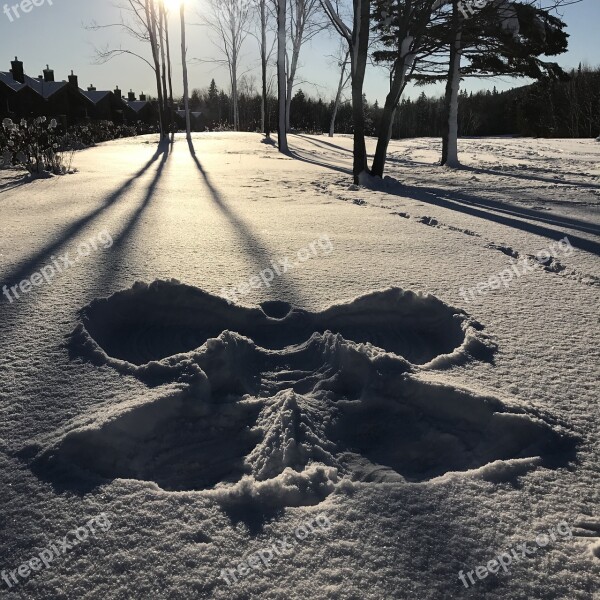 Snow Winter Winter Landscape White Nature