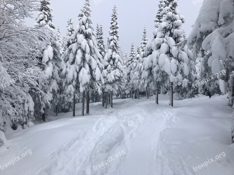 Snow Ski Winter Québec Canada