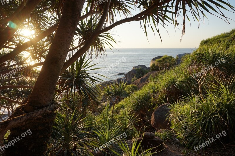 Vacation Sunset Nature Sea Summer