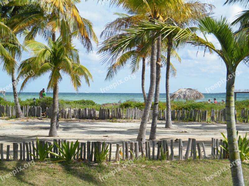 Cuba Beach Cayo Guillermo Free Photos