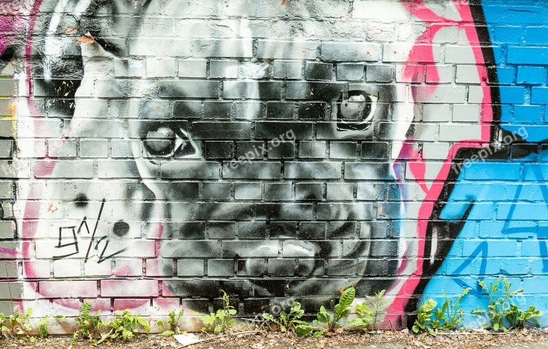 Dog Mural Grafitti Artists Art