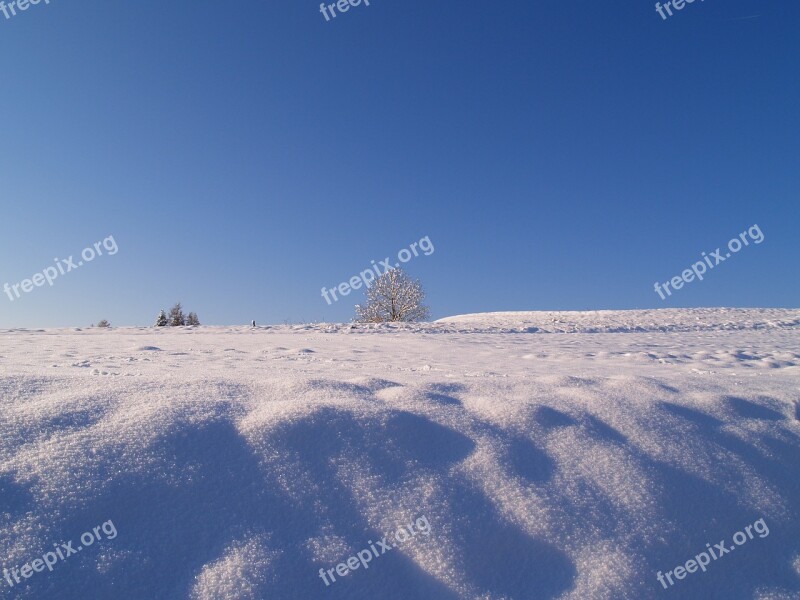 Snow Winter Wintry Landscape Day