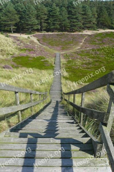 Stairs Wood Stairs Downhill Finish Descend