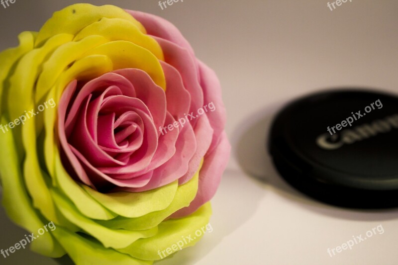 Soap Flowers Flower Red And Yellow Rhodes Rose