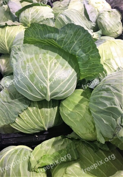 Cabbage Leafy White Green Vegetables