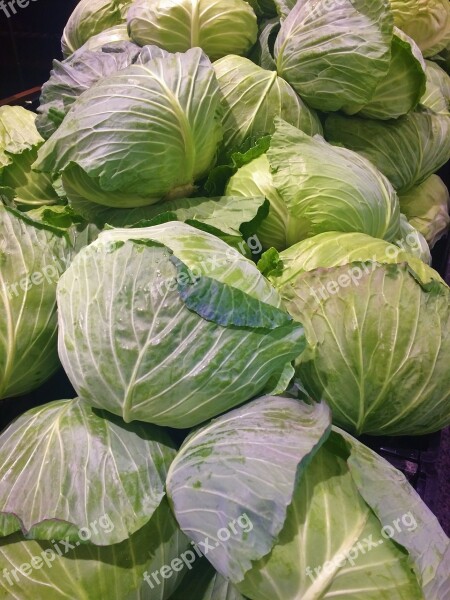 Cabbage Leafy White Green Vegetables