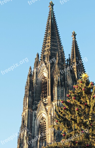 Cologne Cathedral Dom Christmas Christmas Tree Christmas Tree In Front Of The Cologne Cathedral