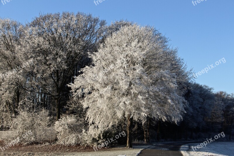 Winter Landscape Away Frost Sky