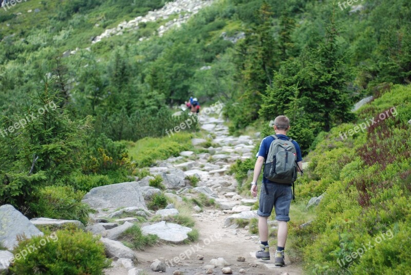 Hiking Walking Mountain Hiking Mountains The Path Mountain Road