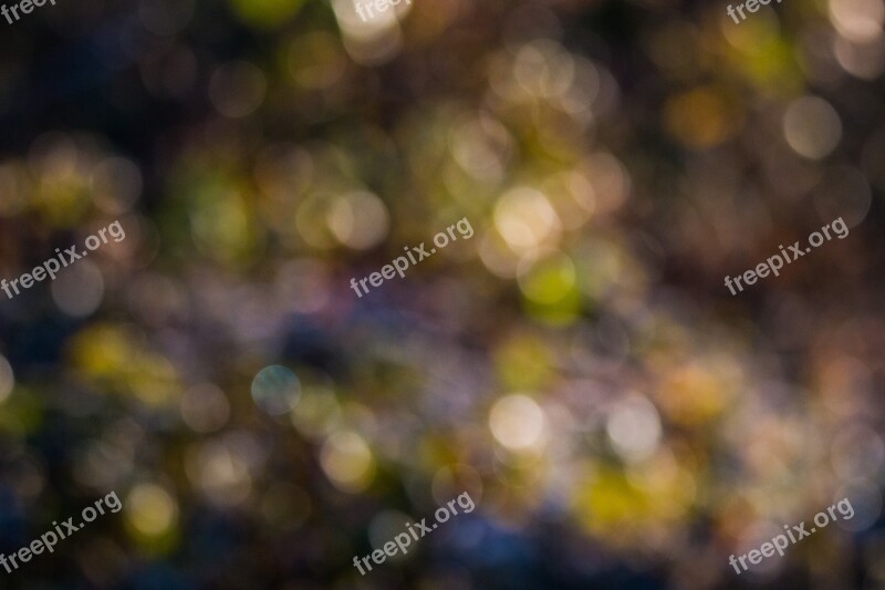 Bokeh Background Circle Light Texture