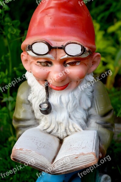 Dwarf Reading Read Pipa Glasses