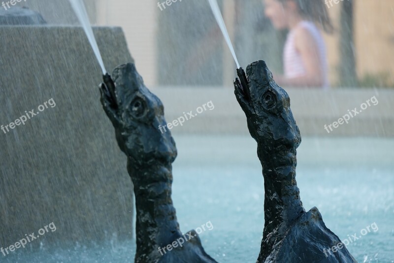 Turtle Fountain Montreal Hochelaga-maisonneuve Waterpolo