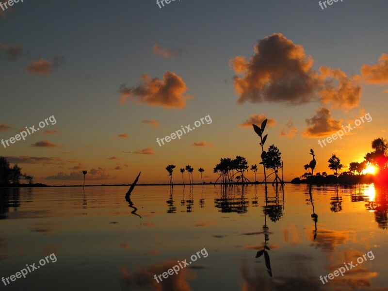 Sunrise Mauritius Romance Sea Free Photos