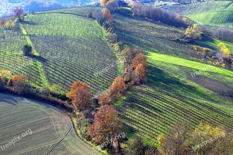 Langhirano Parma Emilia Romagna Italy Vineyards