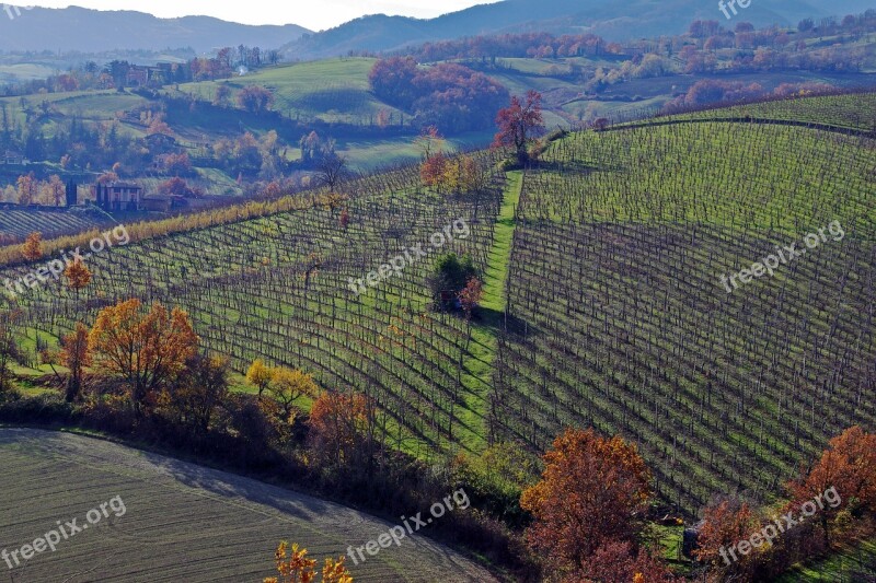 Langhirano Parma Emilia Romagna Italy Vineyards