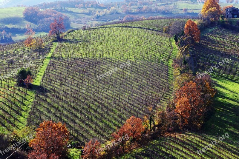 Langhirano Parma Emilia Romagna Italy Vineyards