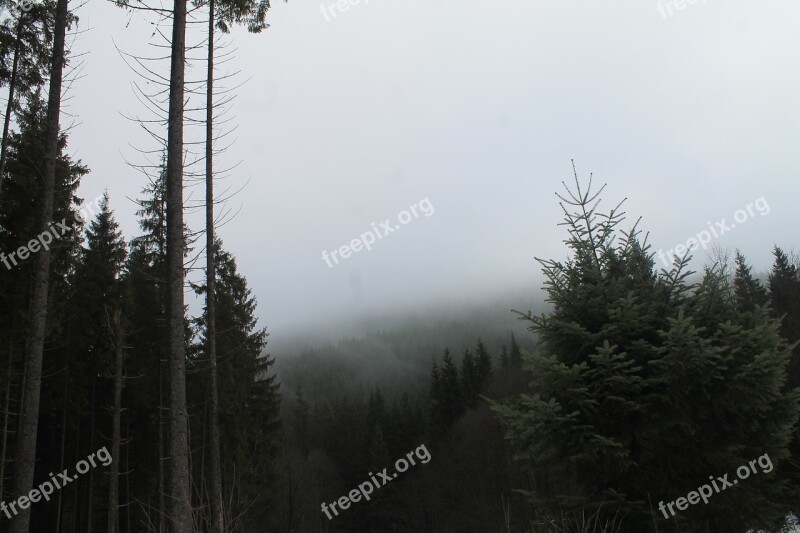 Mountains Fog The Carpathians Slopes Ukraine