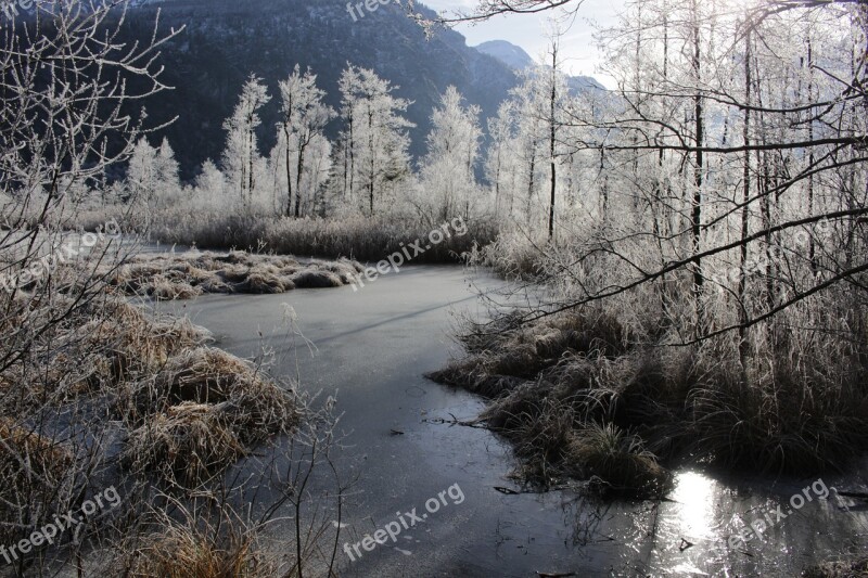 Ice Winter Bach Nature Landscape