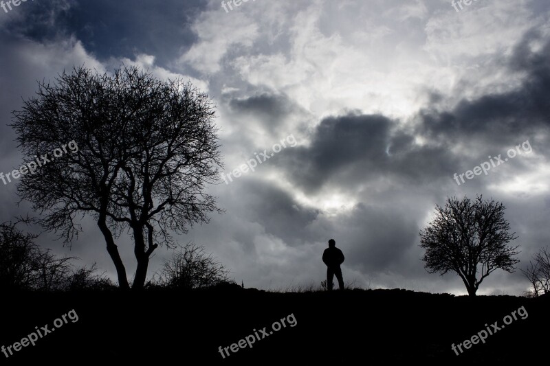 Silhouette Tree Human Landscape Sunset