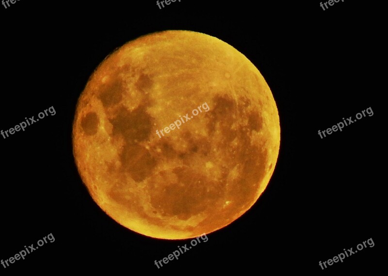 Luna Red Sky Full Moon Free Photos