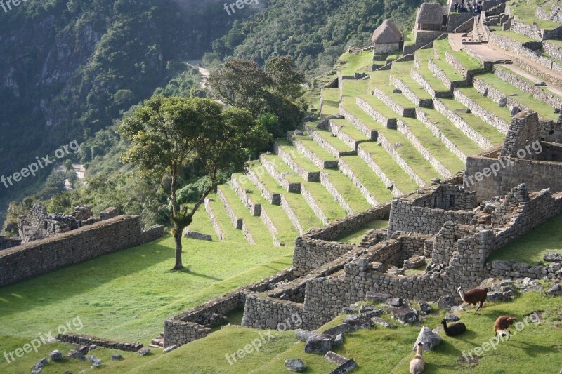 Peru Inca Trail Machu Picchu Free Photos