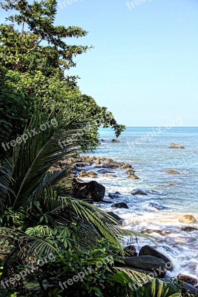 Beach Thailand Sea Water Palm Trees