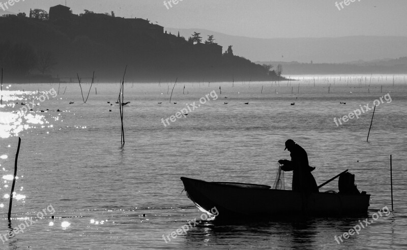 Lake Fisherman Rowing Boat Boat Fishing